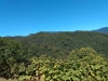 IMG_20210927_115329003