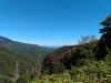 IMG_20210927_115424876