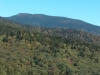 IMG_20210927_120259593