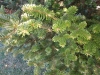 IMG_20210927_122823698