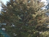 IMG_20210927_122846278