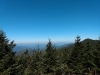 IMG_20210927_122946576