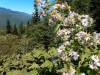 IMG_20210927_131757782