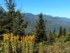 IMG_20210927_131837958