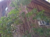 IMG_20210930_113608372