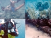Bahamas87_0006