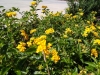 IMG_20221020_125000509
