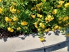 IMG_20221020_125013494_HDR
