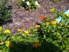 IMG_20221020_125020741