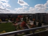 IMG_20191013_123723206