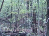 DCIM\100SPORT