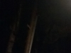 WP_20180306_12_23_31_Pro