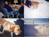 Tahoe-99_0006