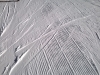 WP_20160222_002.jpg