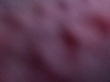 IMG_20200210_131546778