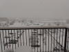 IMG_20200211_075157535