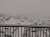 IMG_20200211_075209077