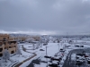 IMG_20200211_103718172
