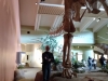 IMG_20200214_111540024