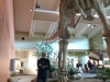 IMG_20200214_111550940