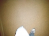 IMG_20200214_114415859