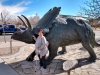 IMG_20200214_120459470_HDR