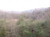 IMG_20230214_175019521