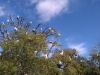 WP_20190228_10_55_11_Panorama