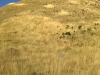 WP_20171002_18_08_42_Panorama