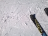 WP_20150226_14_07_24_Pro.jpg